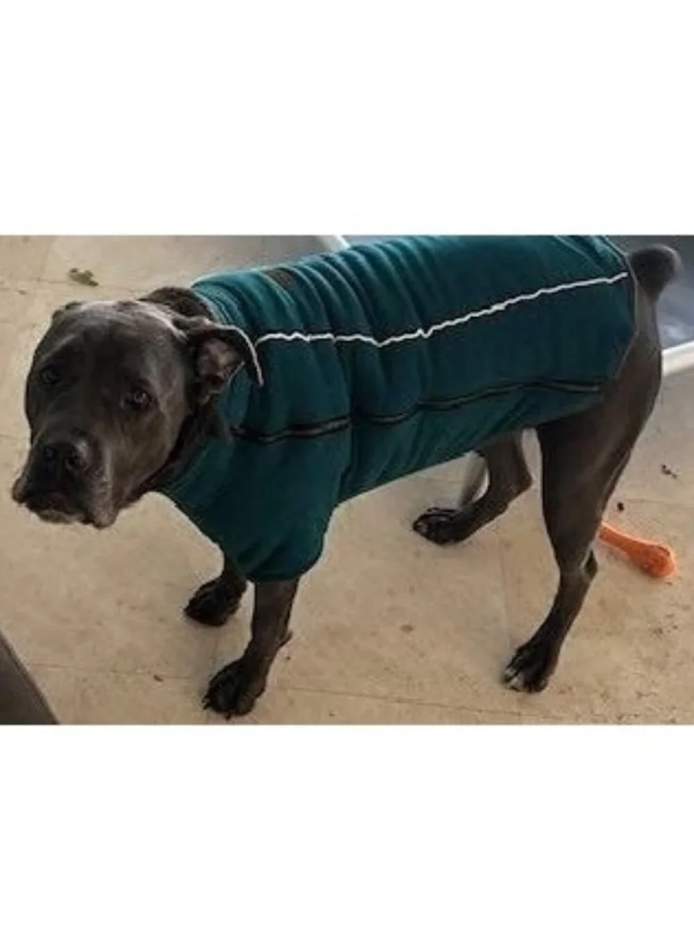 BOX DOG Polar Fleece Dog Jacket Coat for BIG DOGS - Red - XXL - NEW NWT